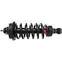 Complete Strut Assembly: Includes Strut, Coil Spring, and Mount