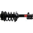 Complete Strut Assembly: Includes Strut, Coil Spring, and Mount