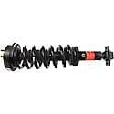 Complete Strut Assembly: Includes Strut, Coil Spring, and Mount