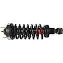 Complete Strut Assembly: Includes Strut, Coil Spring, and Mount