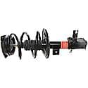 Complete Strut Assembly: Includes Strut, Coil Spring, and Mount