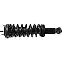 Complete Strut Assembly: Includes Strut, Coil Spring, and Mount