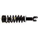 Complete Strut Assembly: Includes Strut, Coil Spring, and Mount