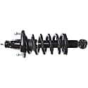 Complete Strut Assembly: Includes Strut, Coil Spring, and Mount