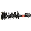 Complete Strut Assembly: Includes Strut, Coil Spring, and Mount