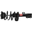 Complete Strut Assembly: Includes Strut, Coil Spring, and Mount