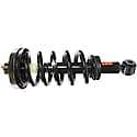 Complete Strut Assembly: Includes Strut, Coil Spring, and Mount