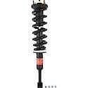 Complete Strut Assembly: Includes Strut, Coil Spring, and Mount