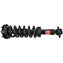 Complete Strut Assembly: Includes Strut, Coil Spring, and Mount