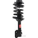 Complete Strut Assembly: Includes Strut, Coil Spring, and Mount