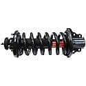 Complete Strut Assembly: Includes Strut, Coil Spring, and Mount