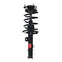 Complete Strut Assembly: Includes Strut, Coil Spring, and Mount