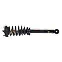 Complete Strut Assembly: Includes Strut, Coil Spring, and Mount