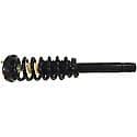 Complete Strut Assembly: Includes Strut, Coil Spring, and Mount