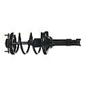 Complete Strut Assembly: Includes Strut, Coil Spring, and Mount