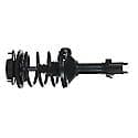 Complete Strut Assembly: Includes Strut, Coil Spring, and Mount