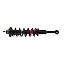 Complete Strut Assembly: Includes Strut, Coil Spring, and Mount