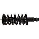 Complete Strut Assembly: Includes Strut, Coil Spring, and Mount