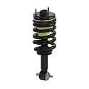 Strut Assembly: Includes Strut, Coil Spring, and Mount