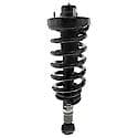 Complete Corner Unit Assembly -Strut, Mount and Spring