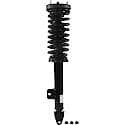 Complete Strut Assembly: Includes Strut, Coil Spring, and Mount