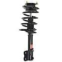 Complete Strut Assembly: Includes Strut, Coil Spring, and Mount