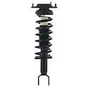 Complete Strut Assembly: Includes Strut, Coil Spring, and Mount