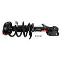 Complete Strut Assembly: Includes Strut, Coil Spring, and Mount