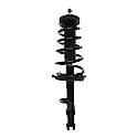 Suspension Strut and Coil Spring Assembly