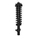 Complete Strut Assembly: Includes Strut, Coil Spring and Mount