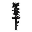 Complete Strut Assembly: Includes Strut, Coil Spring and Mount