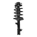 Complete Strut Assembly: Includes Strut, Coil Spring and Mount