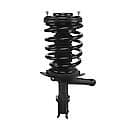 Complete Strut Assembly: Includes Strut, Coil Spring and Mount