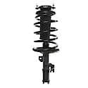 Complete Strut Assembly: Includes Strut, Coil Spring and Mount