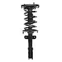 Complete Strut Assembly 18-815025: Includes Strut, Coil Spring and Mount