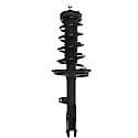 Complete Strut Assembly 18-810495: Includes Strut, Coil Spring and Mount