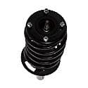 Complete Strut Assembly: Includes Strut, Coil Spring and Mount