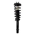 Complete Strut Assembly: Includes Strut, Coil Spring and Mount