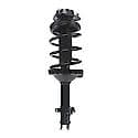 Complete Strut Assembly: Includes Strut, Coil Spring and Mount