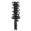 Complete Strut Assembly: Includes Strut, Coil Spring and Mount