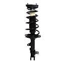 Complete Strut Assembly: Includes Strut, Coil Spring and Mount