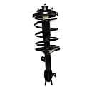 Complete Strut Assembly: Includes Strut, Coil Spring and Mount