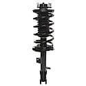 Complete Strut Assembly: Includes Strut, Coil Spring and Mount