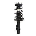 Complete Strut Assembly: Includes Strut, Coil Spring and Mount