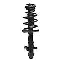 Complete Strut Assembly: Includes Strut, Coil Spring and Mount