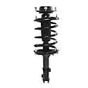 Complete Strut Assembly: Includes Strut, Coil Spring and Mount