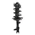 Complete Strut Assembly: Includes Strut, Coil Spring and Mount