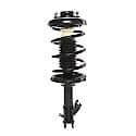 Complete Strut Assembly: Includes Strut, Coil Spring and Mount