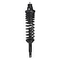 Complete Strut Assembly: Includes Strut, Coil Spring and Mount