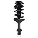 Complete Strut Assembly: Includes Strut, Coil Spring and Mount